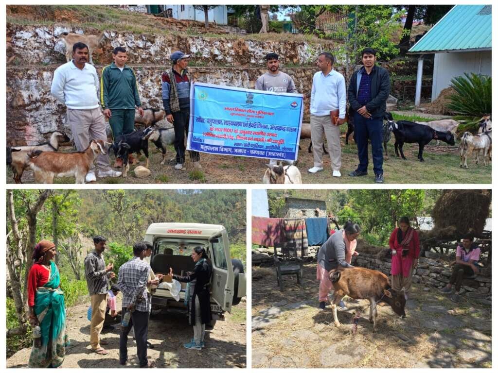 चंपावत के पाली ग्राम में स्वास्थ्य शिविर आयोजित, आईटीबीपी और पशुपालन विभाग के एमओयू से सीमांत पशुपालकों की आय में वृद्धि